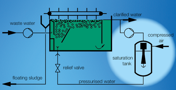 Dissolved air flotation for secondary clarification in a biological water treatment plant